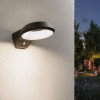 Applique Extérieur Anela 12W Anthracite Paulmann 94837