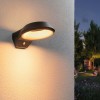Applique Extérieur Anela 12W Anthracite Paulmann 94837