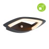 Applique Extérieur Akena 10,8W Anthracite Paulmann 94839