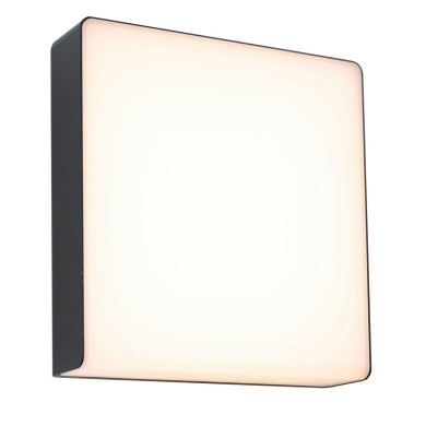 Applique Extérieur Azalena 8,5W Anthracite 2200 - 3000K Paulmann 94842