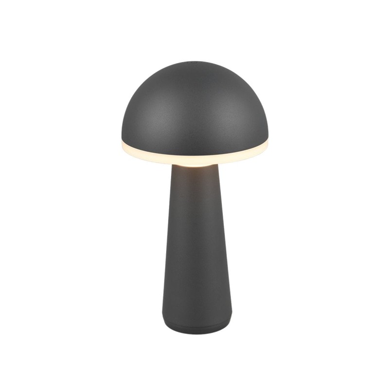 Lampe de table Extérieur FUNGO 1x2W LED Anthracite TRI_R57716142 R57716142 Lampe de table Extérieur FUNGO 1x2W LED Anthracite R57716142