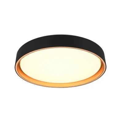 Plafonnier FELIS 1x24W LED Noir et Or TRIO LIGHTING R64391080