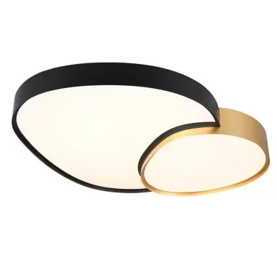 Plafonnier RISE 1x45W LED Noir et Or  647519280
