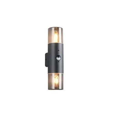 Applique Extérieur HOOSIC 2x28W E27 Noir mat Haut et bas, détecteur de mouvement  222260232