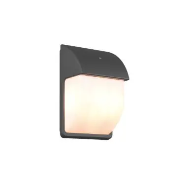 Applique Extérieur MERSEY 2x40W E14 Anthracite TRIO LIGHTING 212160242