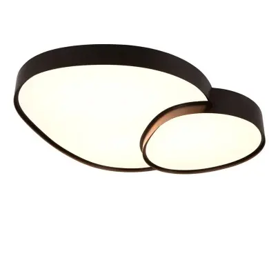 Plafonnier RISE 1x45W LED Noir mat TRIO LIGHTING 647519232