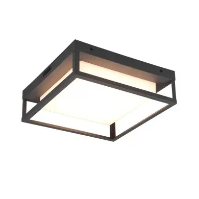 Plafonnier Extérieur WITHAM 1x14W LED Anthracite  677860142