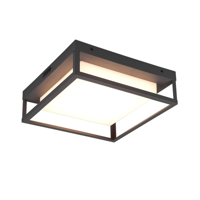Plafonnier Extérieur WITHAM 1x14W LED Anthracite TRI_677860142 677860142 Plafonnier Extérieur WITHAM 1x14W LED Anthracite 677860142