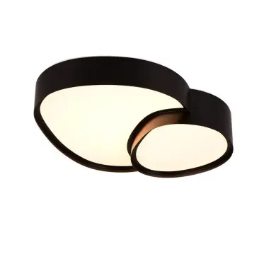 Plafonnier RISE 1x21W LED Noir mat TRIO LIGHTING 647510232