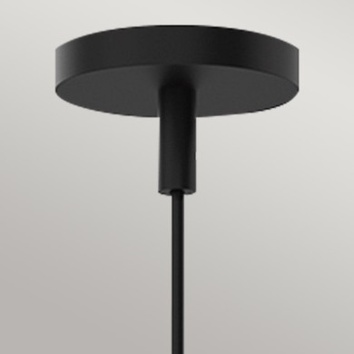 Suspension Remyck Noir 60W ELSTEAD LIGHTING ALM-REMYCK-P-BK