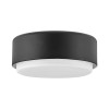 Plafonnier Cedric Noir et opale 2x40W ELSTEAD LIGHTING HK-CEDRIC-F-S-BK