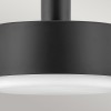 Suspension Cedric Noir et opale 2x60W ELSTEAD LIGHTING HK-CEDRIC-P-M-BK