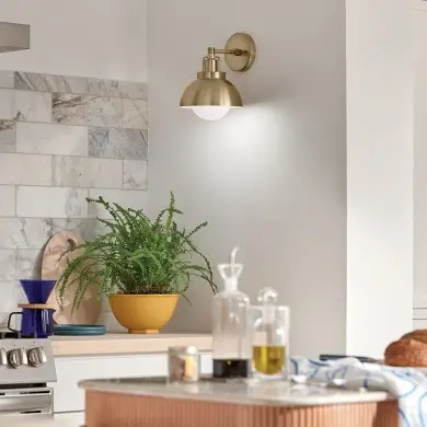 Applique Niva Bronze 40W ELSTEAD LIGHTING KL-NIVA-1W-1P-CPZ