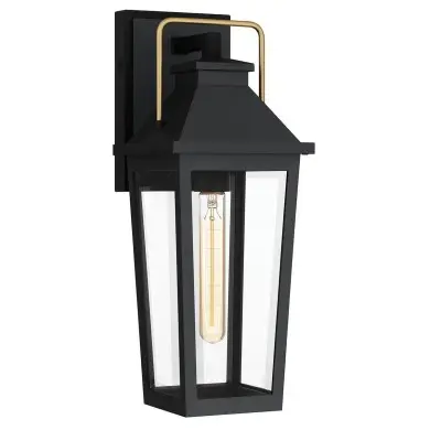 Applique Buckley Noir, laiton et transparent 40W ELSTEAD LIGHTING QZ-BUCKLEY-M-MBK