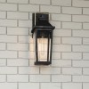 Applique Buckley Noir, laiton et transparent 40W ELSTEAD LIGHTING QZ-BUCKLEY-M-MBK
