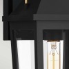 Applique Buckley Noir, laiton et transparent 40W ELSTEAD LIGHTING QZ-BUCKLEY-M-MBK