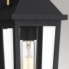Applique Buckley Noir, laiton et transparent 40W petit ELSTEAD LIGHTING QZ-BUCKLEY-S-MBK