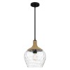 Suspension Royer Noir et transparent 60W ELSTEAD LIGHTING QZ-ROYER-1P-MBK
