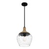 Suspension Royer Noir et transparent 60W ELSTEAD LIGHTING QZ-ROYER-1P-MBK