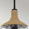 Suspension Royer Noir et transparent 60W ELSTEAD LIGHTING QZ-ROYER-1P-MBK