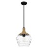 Suspension Royer Noir et transparent 60W ELSTEAD LIGHTING QZ-ROYER-1P-MBK