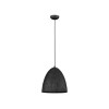 Suspension SOLIS 12W E27 Noir D36  9620172