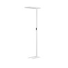 Lampadaire BIOLIGHT 77W LED Blanc  9416978