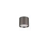 Plafonnier ZIAZA 10W LED Nickel noir  9695167