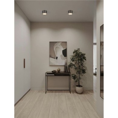 Plafonnier ZIAZA 17W LED Nickel noir  9695169