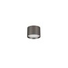 Plafonnier ZIAZA 17W LED Nickel noir  9695169