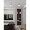 Plafonnier OZEN 24W LED Or  9695172