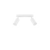 Plafonnier Salle de bain MAO 2x10W GU10 Blanc  9011417