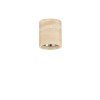 Plafonnier Extérieur BALMA 10W LED Blanc beige  9080143