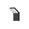 Applique Extérieur FARGE 12W LED Anthracite sombre  9971477