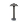 Borne Potelet Extérieur TURA 7W LED Noir H35  9540237