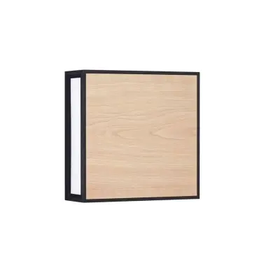Applique Extérieur ASTRAL 16W LED Anthracite sombre NOVA LUCE 9030631