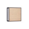 Applique Extérieur ASTRAL 16W LED Anthracite sombre  9030631