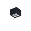Plafonnier Extérieur JAX 8W LED Anthracite sombre  9030947