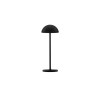 Lampe Extérieur ROSE 2W LED Noir sablonneux  9281381