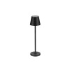 Lampe Extérieur PETIT 2W LED Anthracite sombre  9030715