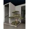 Borne Potelet Extérieur ANDER 10W LED Anthracite sombre  9050702