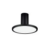 Plafonnier EKEI 14W LED Noir  9695109