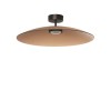 Plafonnier POLIFEMO 17W LED Noir, marron moca  9620143
