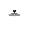 Plafonnier POLIFEMO 12W LED Noir, fumé  9620146