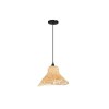 Suspension CAPA 12W LED E27 Noir  9001117