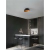 Plafonnier GEA 12W LED E27 Noir, or D40  9695311