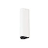 Plafonnier ETHO 6W LED Blanc, noir H15  9695102