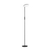 Lampadaire NOTOS 30W LED Noir  9002066