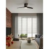 Ventilateur ALOA 18W LED Noir, bois noir  9952372