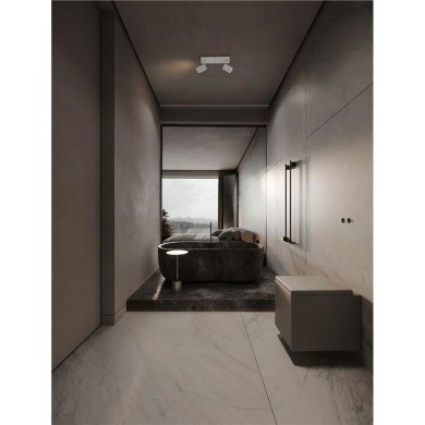 Plafonnier Salle de bain ALMA 2X10W LED GU10 Blanc  9011316